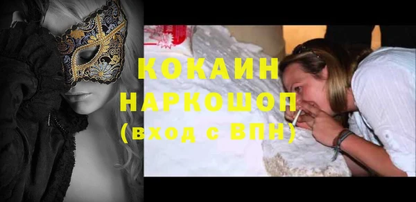 гашик Арсеньев