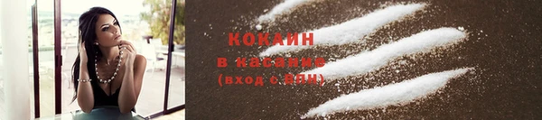 гашик Арсеньев