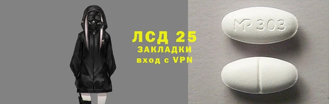 ГАЛЛЮЦИНОГЕННЫЕ ГРИБЫ Аркадак