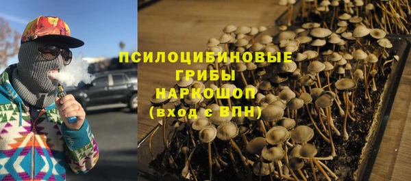 мдпв Армянск
