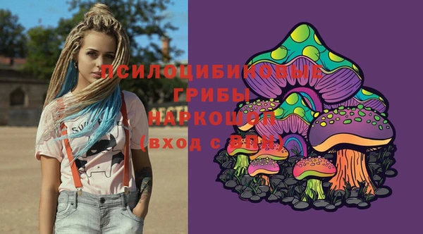 мдпв Армянск
