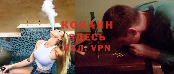 ГАЛЛЮЦИНОГЕННЫЕ ГРИБЫ Аркадак