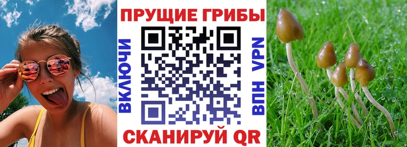 Галлюциногенные грибы Magic Shrooms Малоярославец