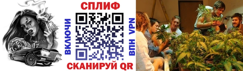 Канабис планчик  Малоярославец 